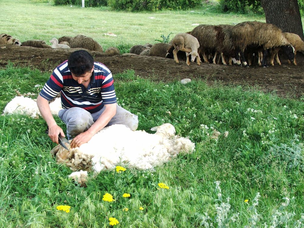 Photograph by Cengiz Yalcin