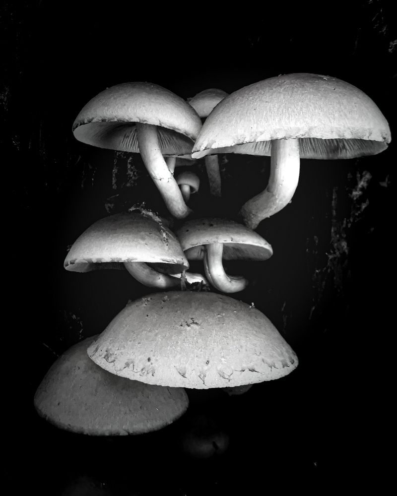 Photograph by Наталья Балабанова