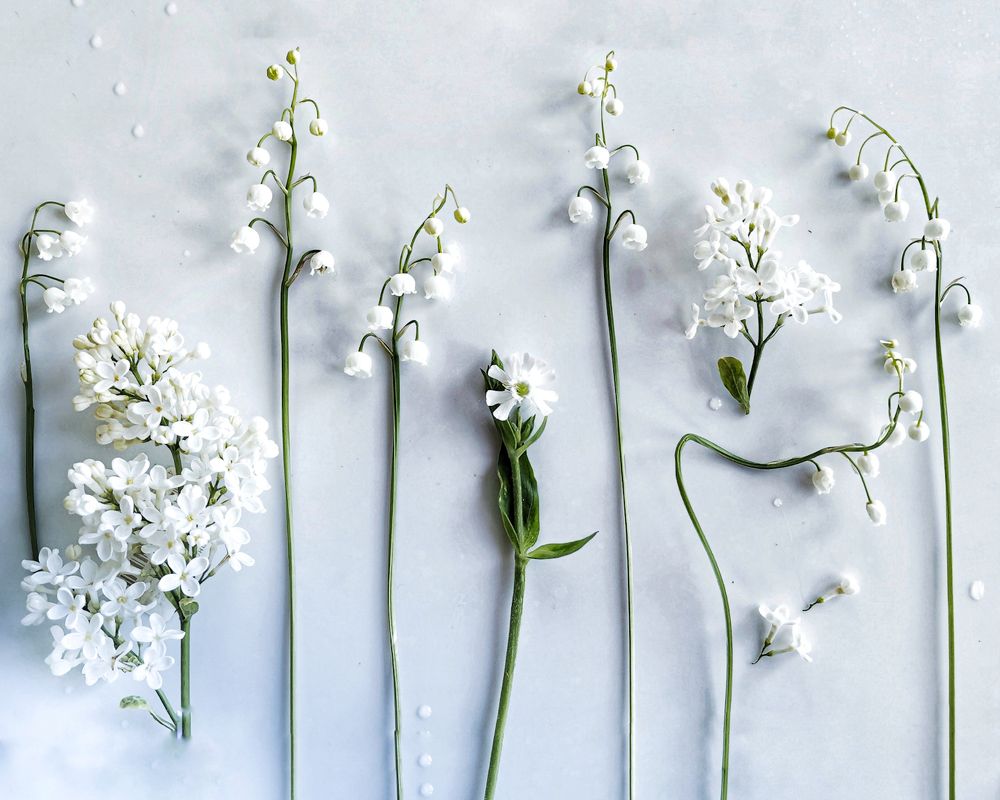 Photograph by Наталья Балабанова