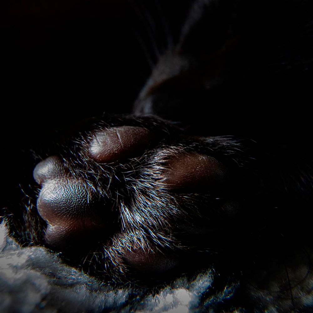 Photograph by Otto Acosta