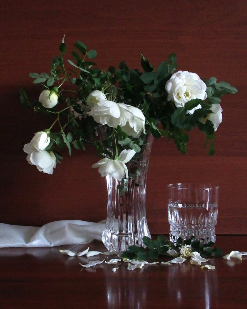 Photograph by Ольга Березовская