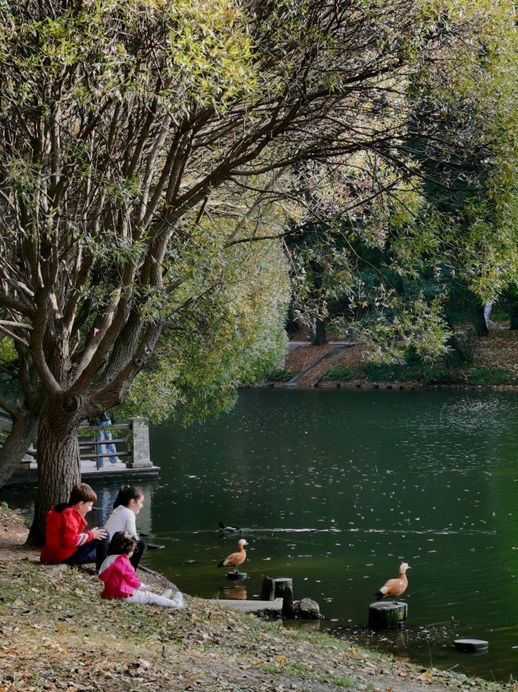 Photograph by Наталья Круглова