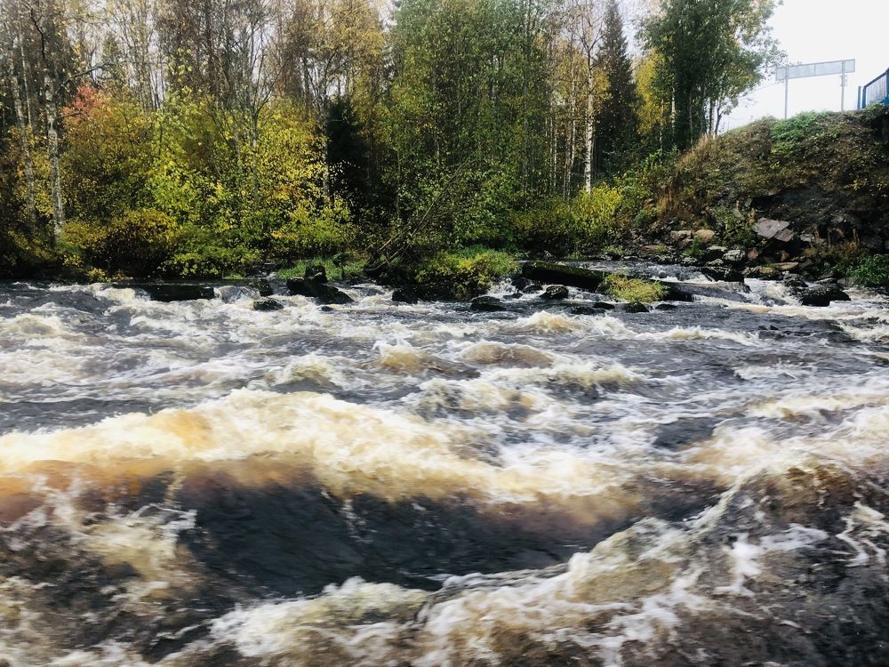 Photograph by ЮЛИЯ СУЛИМОВА