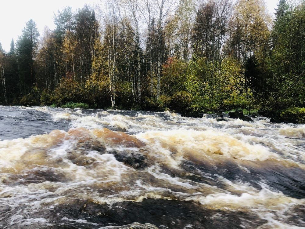 Photograph by ЮЛИЯ СУЛИМОВА