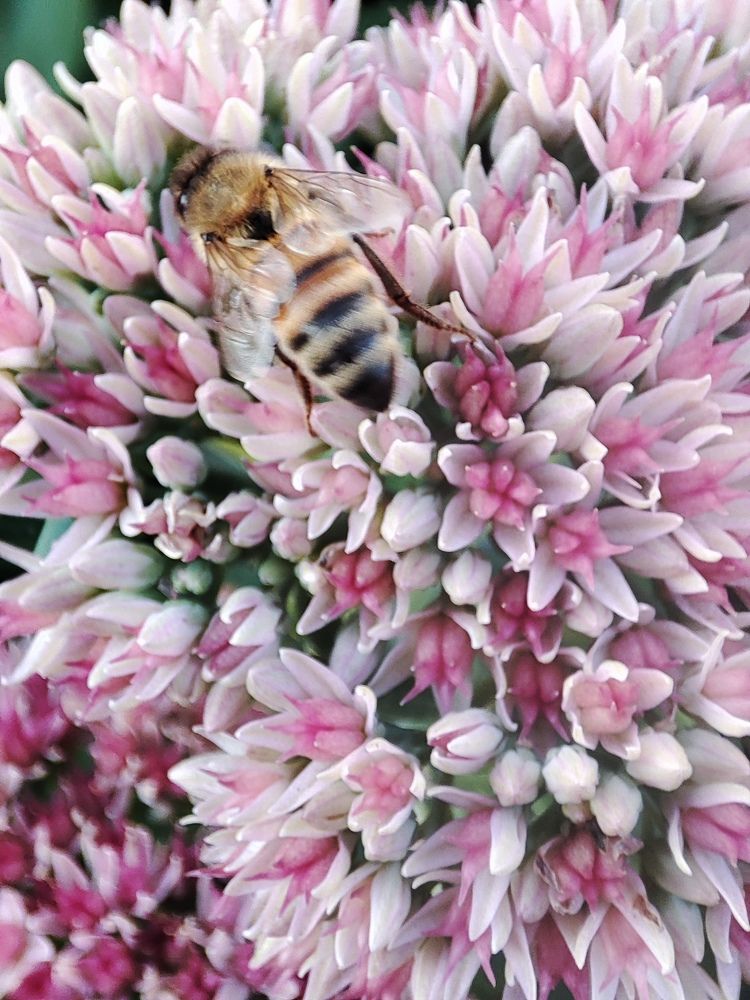 Photograph by Анатолий Плужников