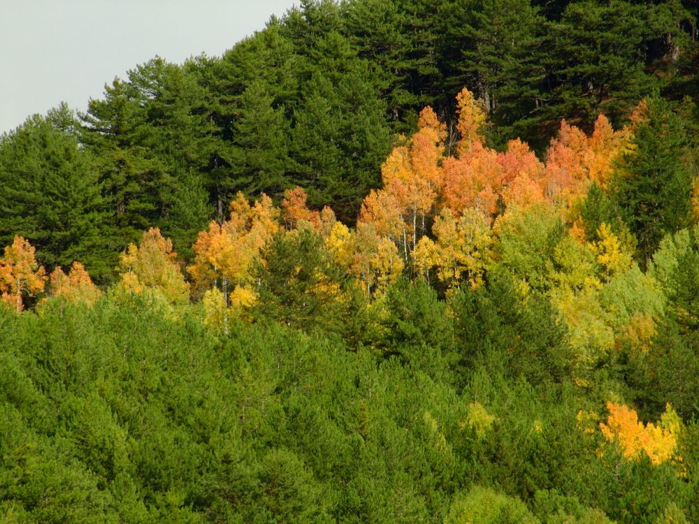 Photograph by Cengiz Yalcin