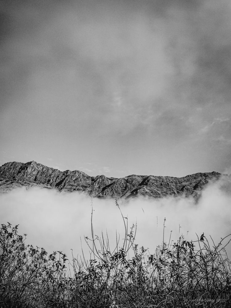 Photograph by José Luis Godoy