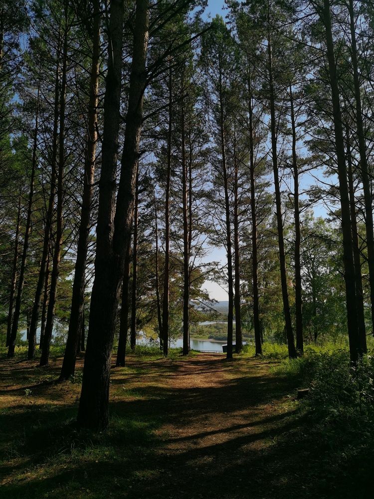 Photograph by Наталья Круглова