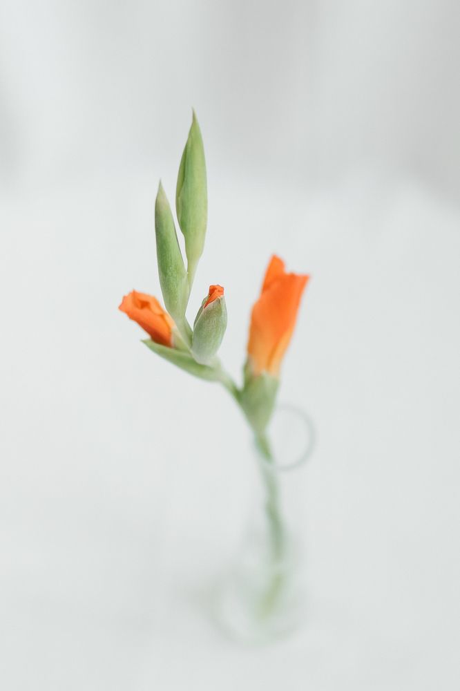 Photograph by Ольга Осинина