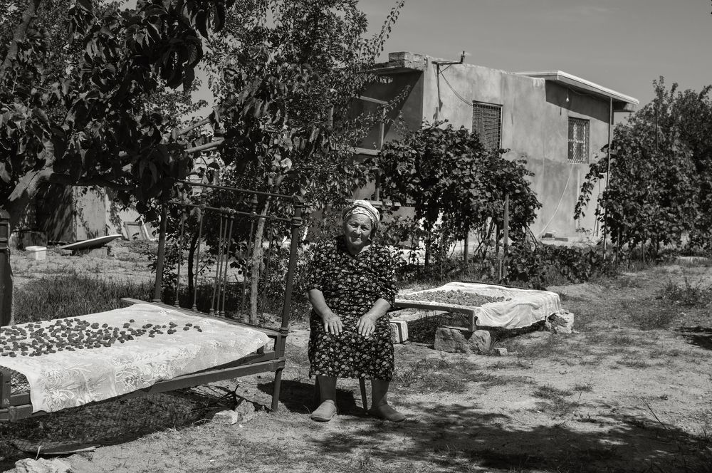 Photograph by Farida Madatova