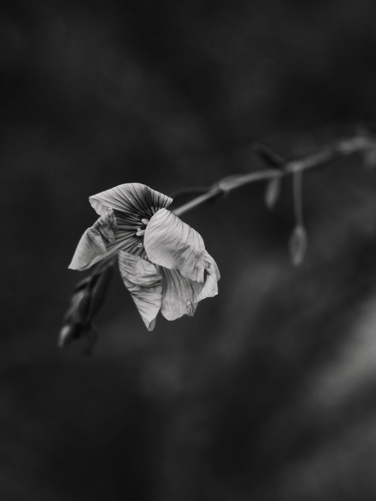 Photograph by Виктория Косинская