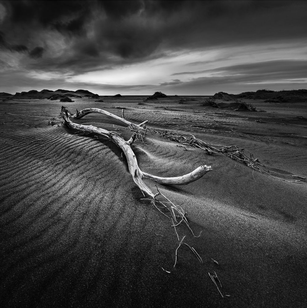 Photograph by Eduardo Modolo