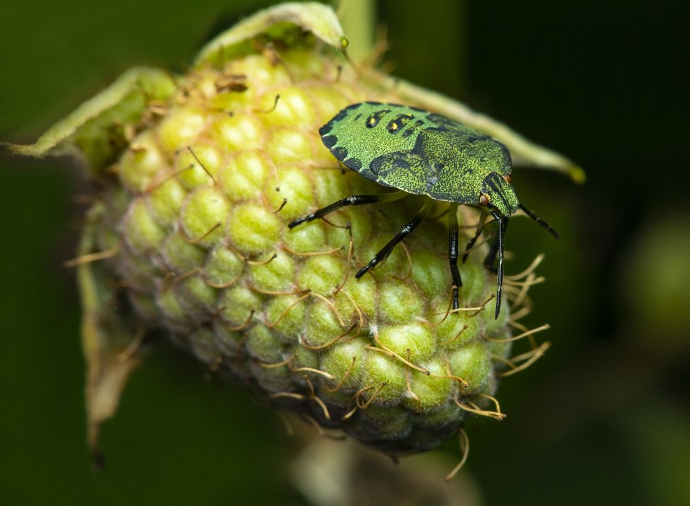 Photograph by Сергей Белов