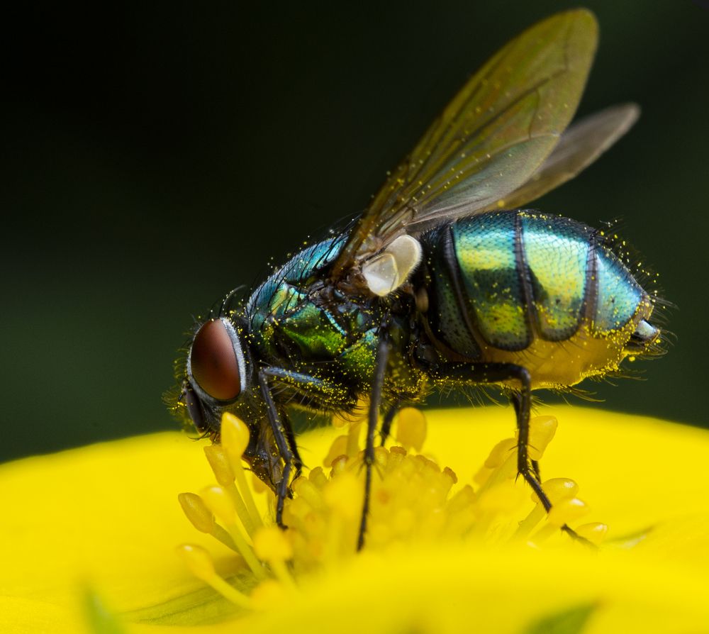 Photograph by Сергей Белов