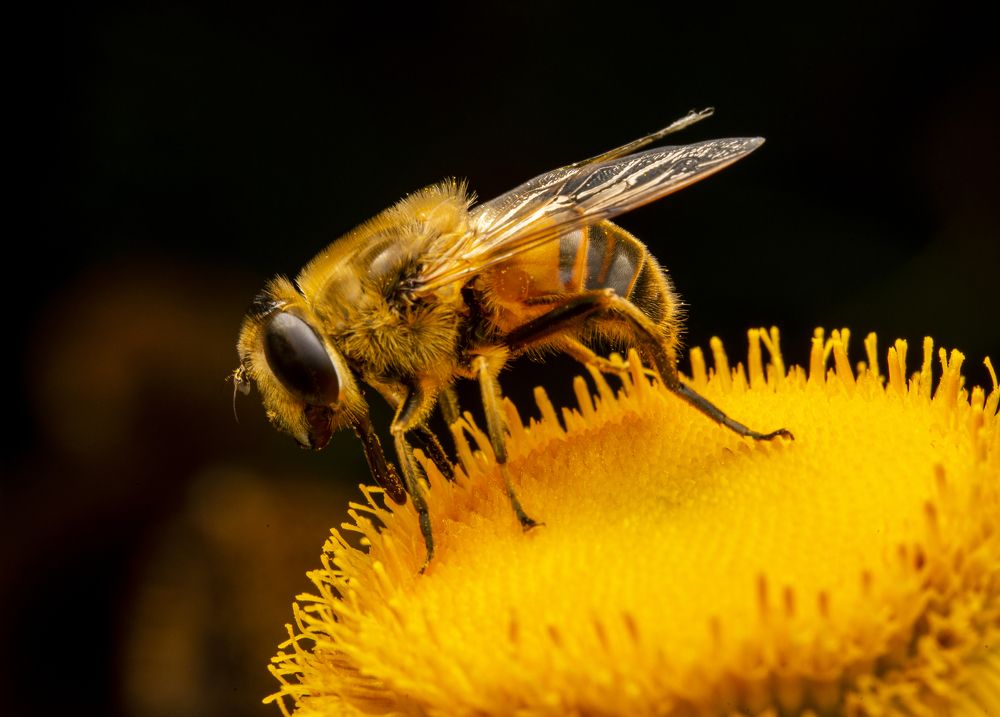 Photograph by Сергей Белов