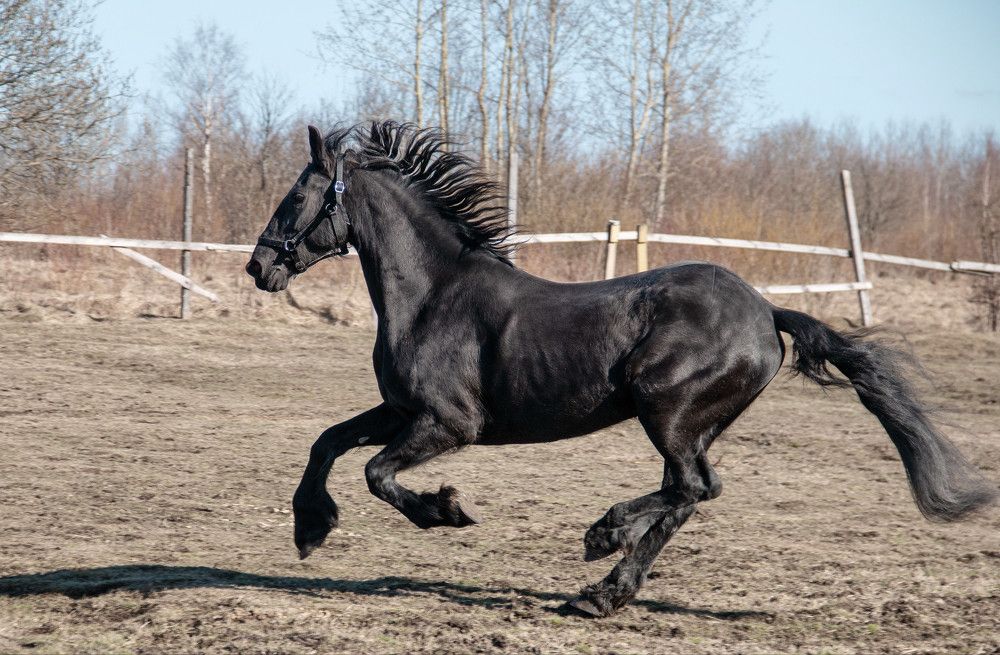 Photograph by Svetlana Dorokhova