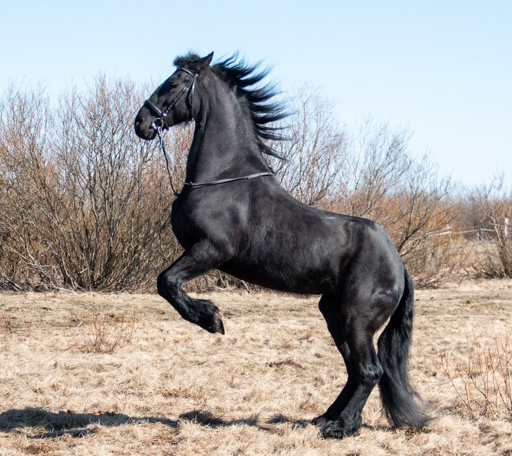 Photograph by Svetlana Dorokhova