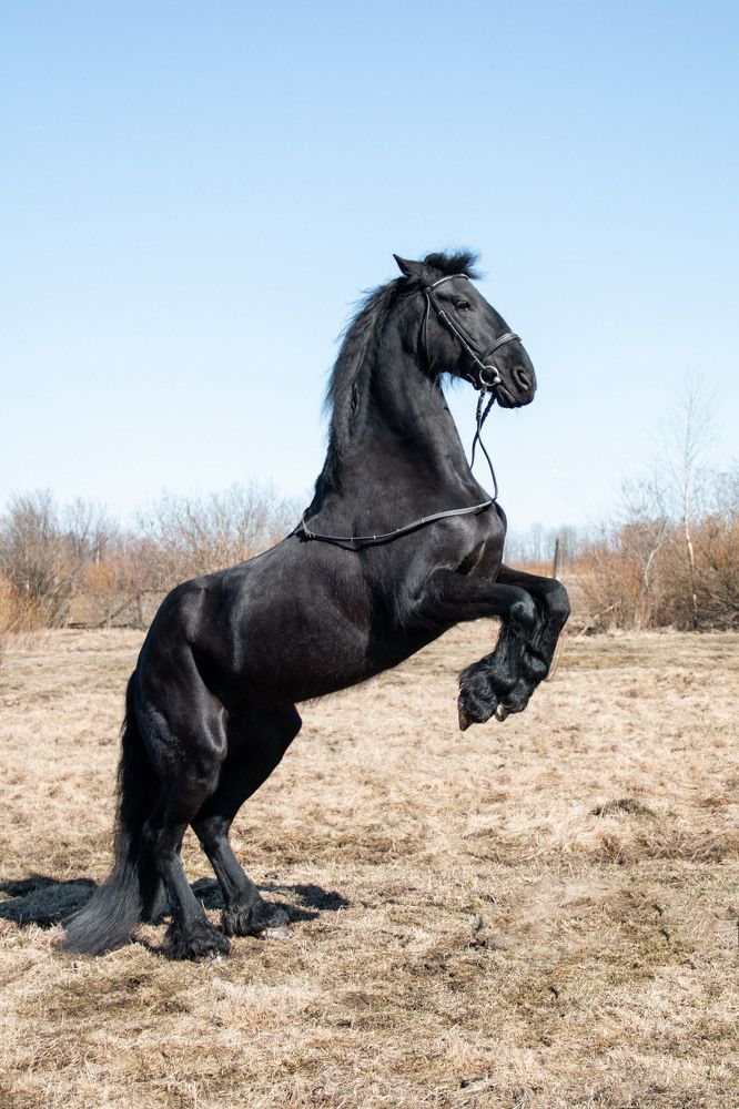 Photograph by Svetlana Dorokhova