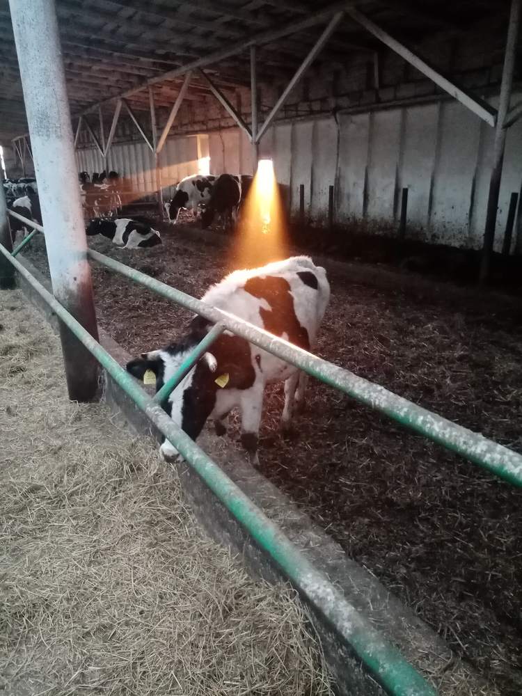 Photograph by Михаил Царикевич