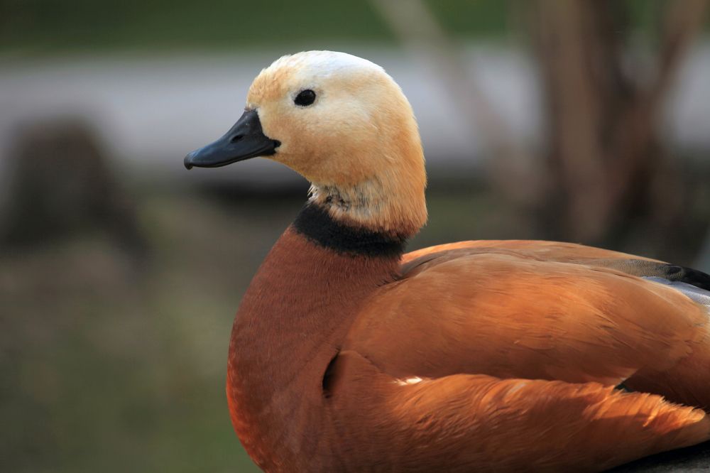 Photograph by Алексей Амилющенко