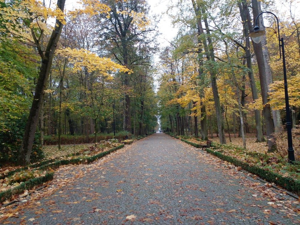 Фотография автора Lizuza