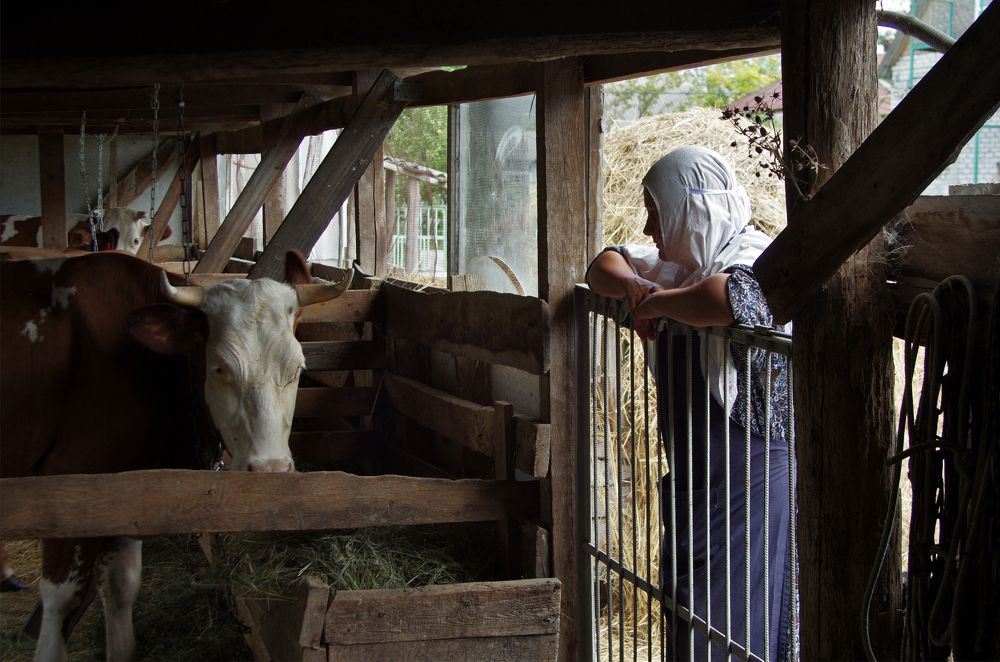 Photograph by Александр Кравченко