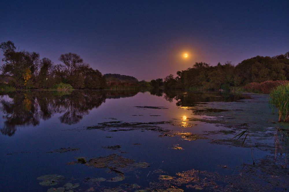 Фотография автора Виктор Долматов