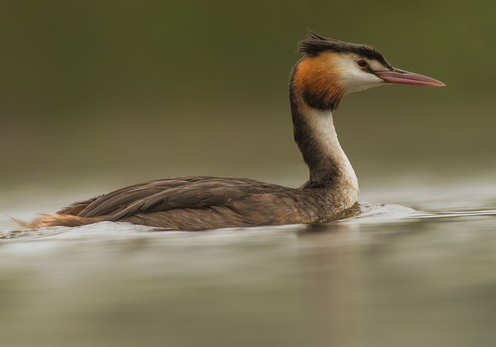 Photograph by Wendy Vanhoudt