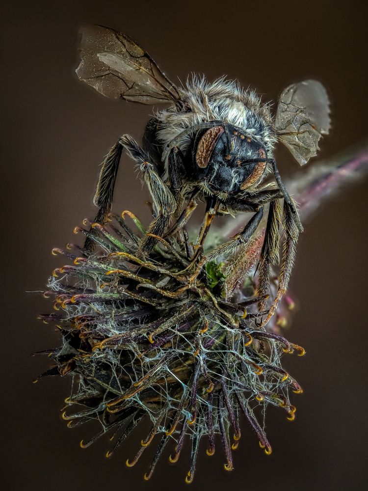 Photograph by савицкий олег