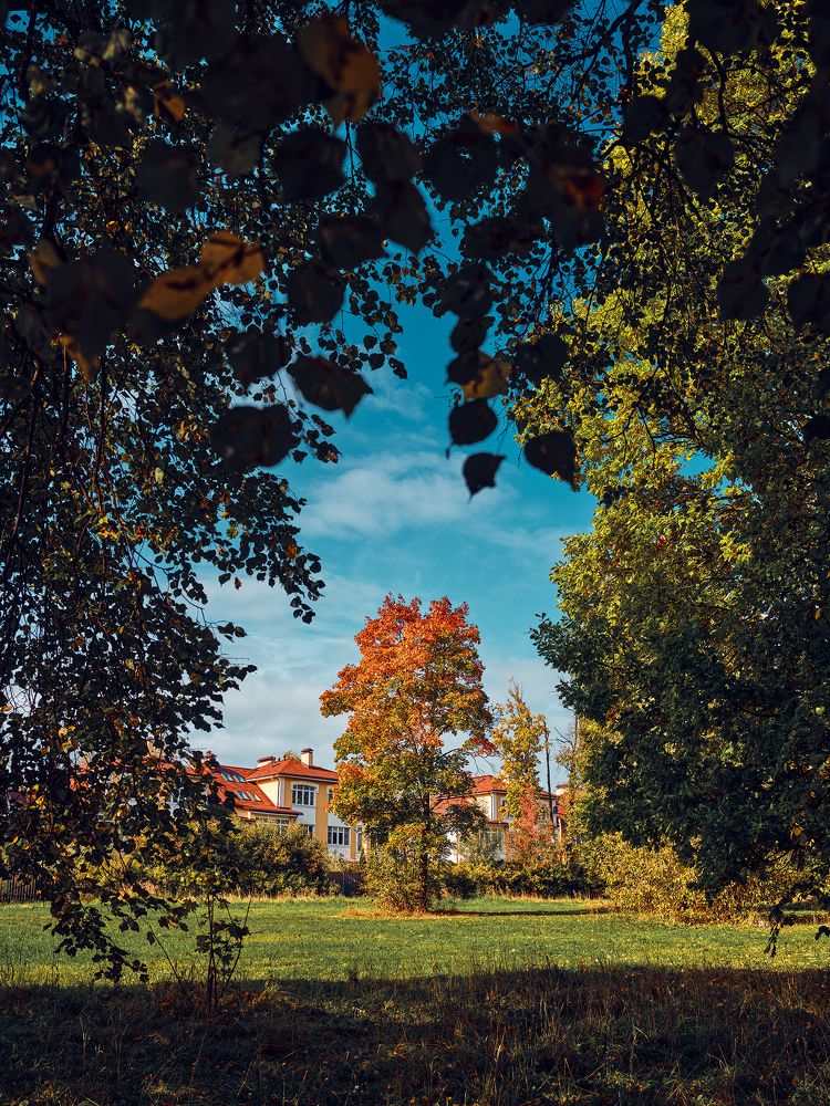 Photograph by Дмитрий Дыбов