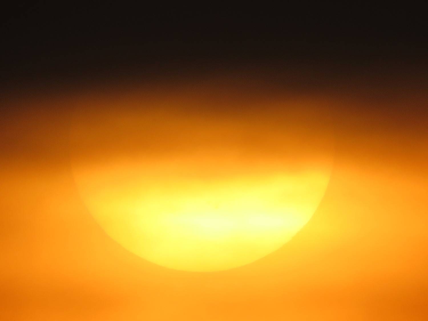 Photo #9623389