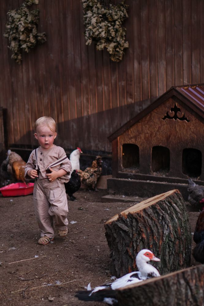 Photograph by Татьяна Ластовская