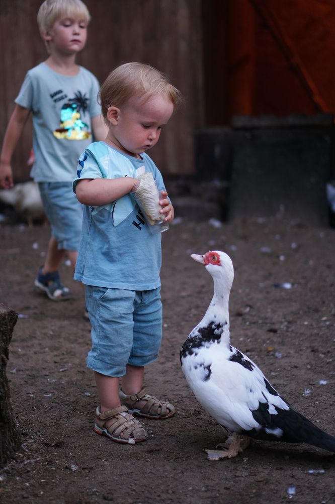 Photograph by Татьяна Ластовская