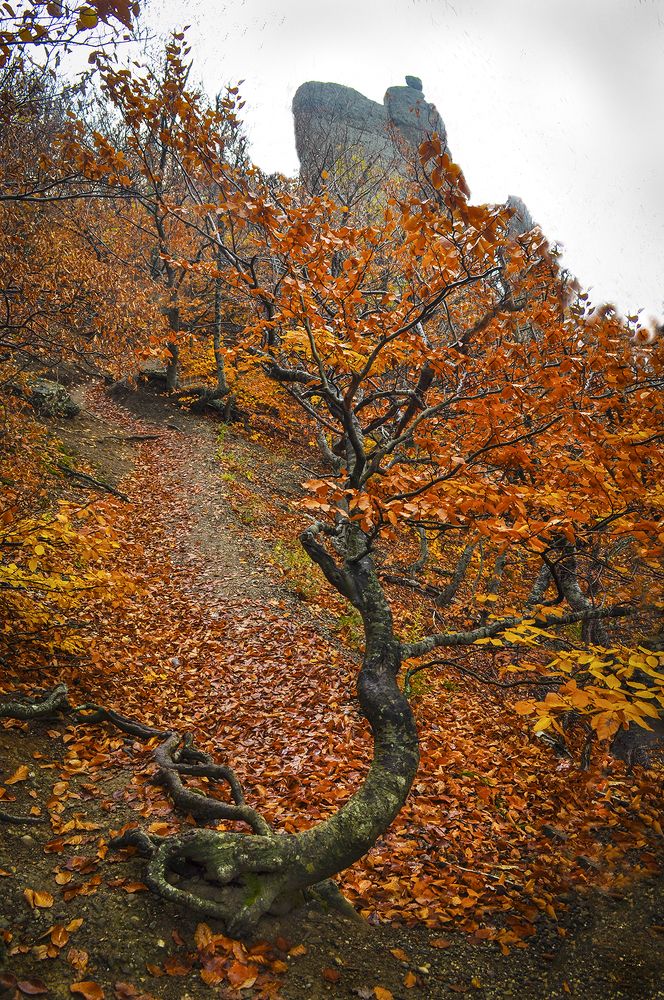 Photograph by Валерий Рябцев