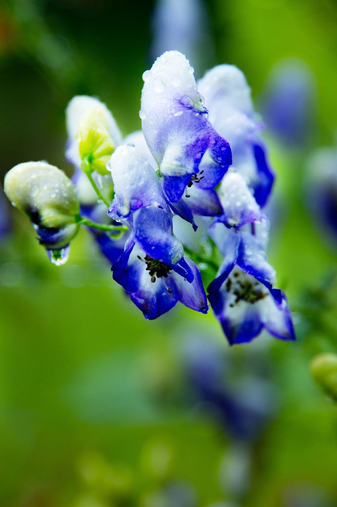 Photograph by Наталья Кузьменко