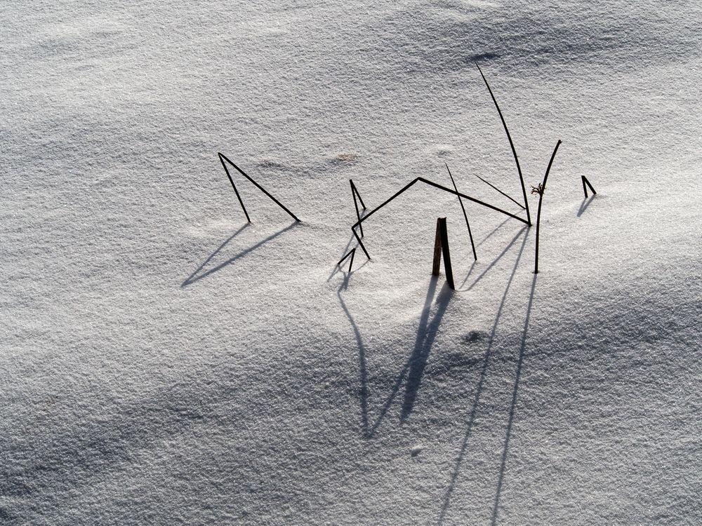 Ломаные и прямые