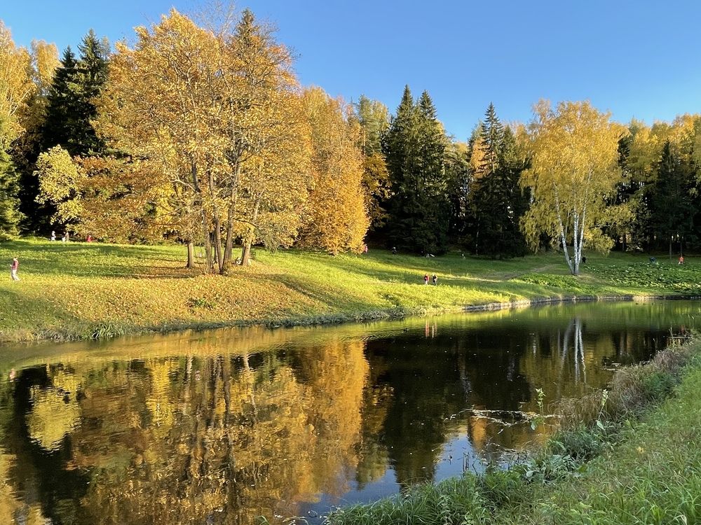 Золотая осень в Павловске