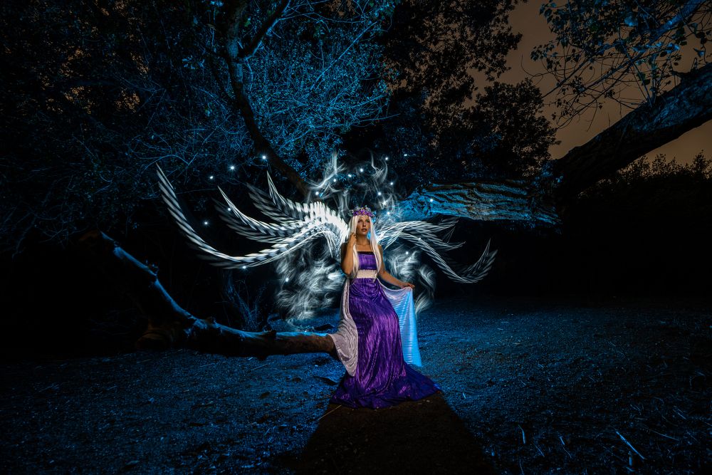 Photograph by David Araujo