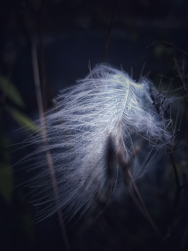 Фотография автора Ольга Сорокина