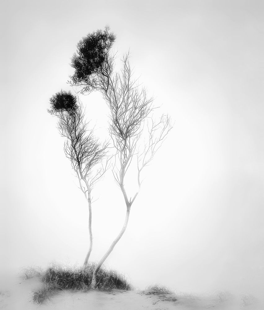 Photograph by Roberto Hagemann