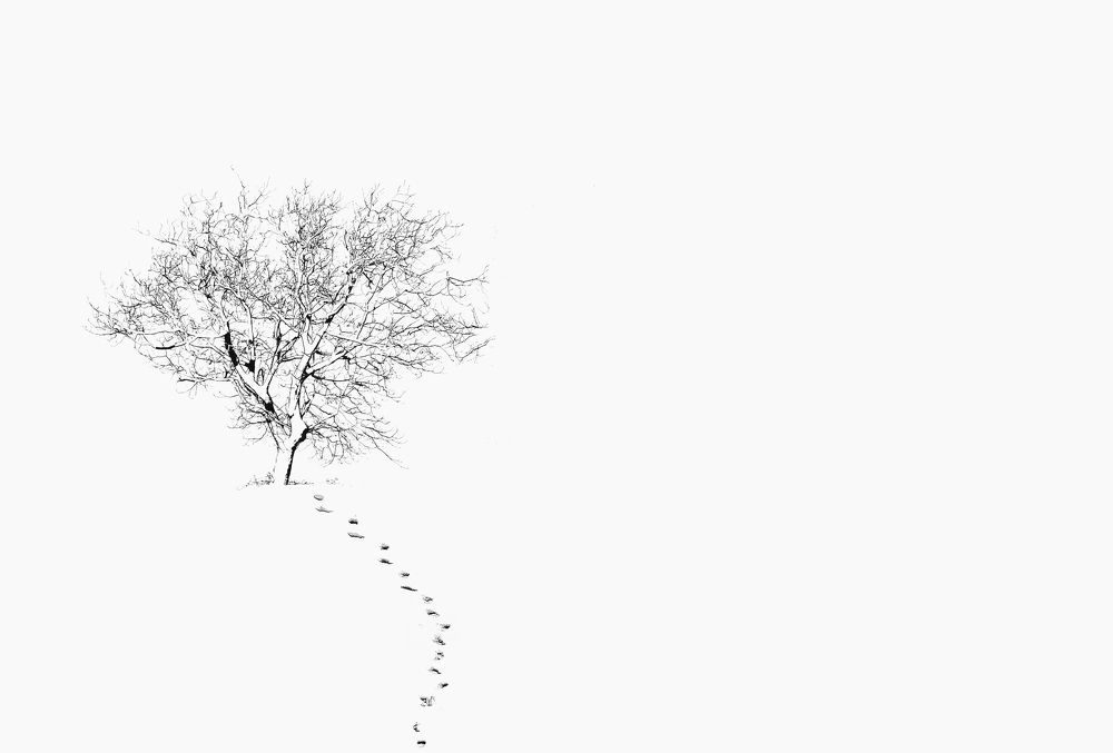 Photograph by Gilcan Mete Delibay