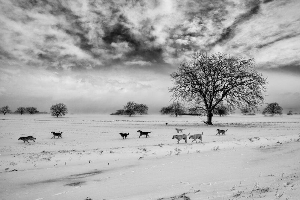 Фотография автора Gilcan Mete Delibay