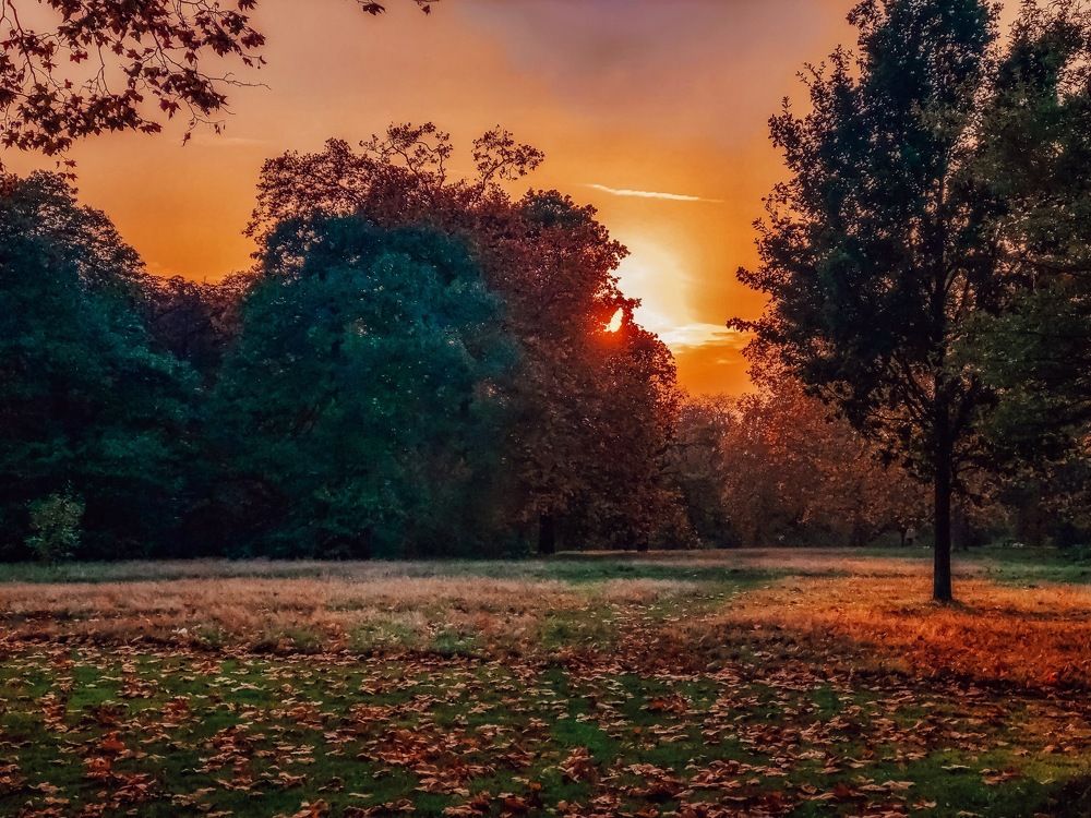 Photograph by Ganna Lobodenko