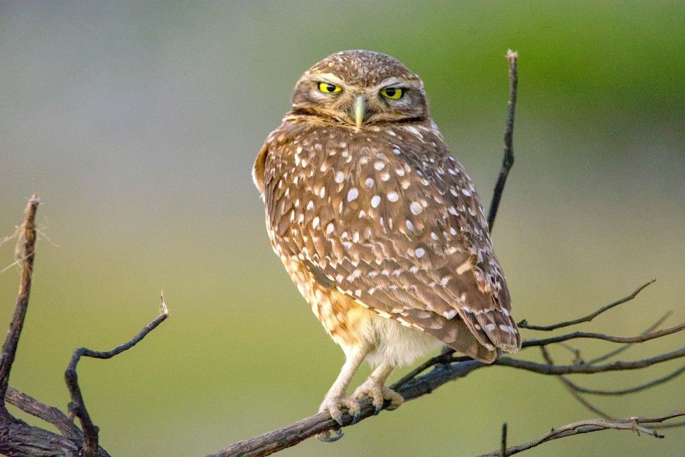 Photograph by Eduardo Bom