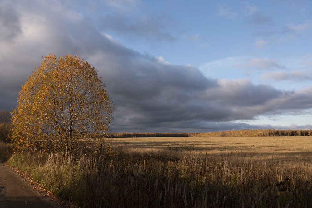 Photograph by Андрей К. Белов