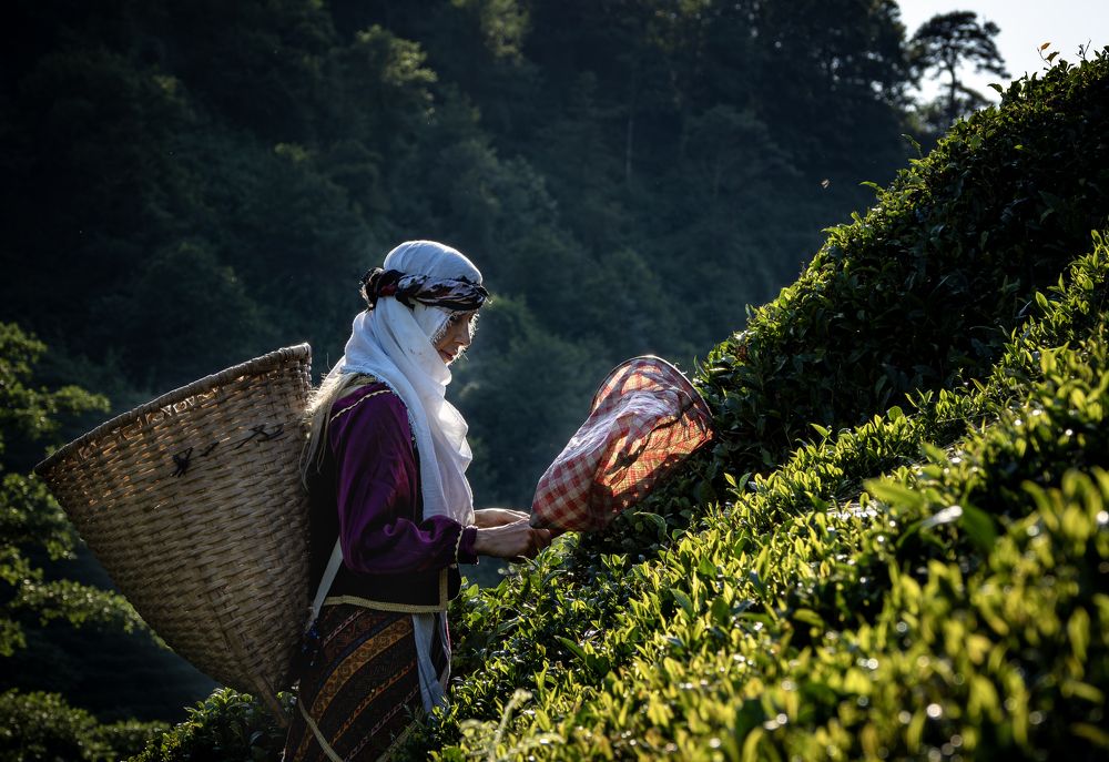 Photograph by Gilcan Mete Delibay