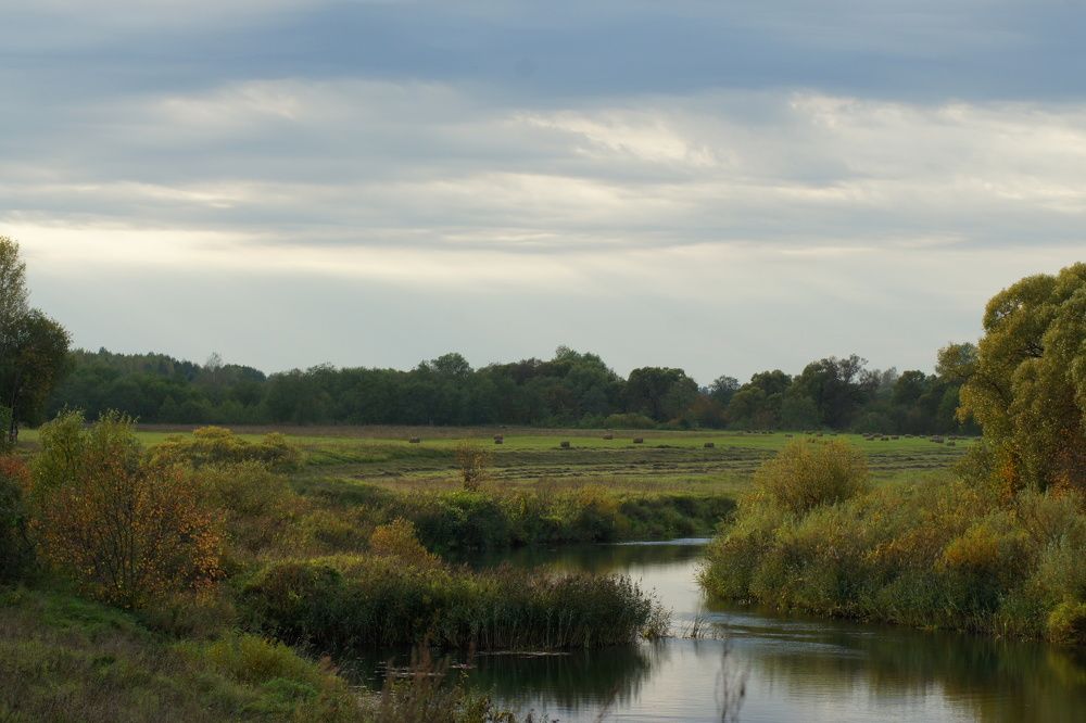 Photograph by Людмила Щепилова