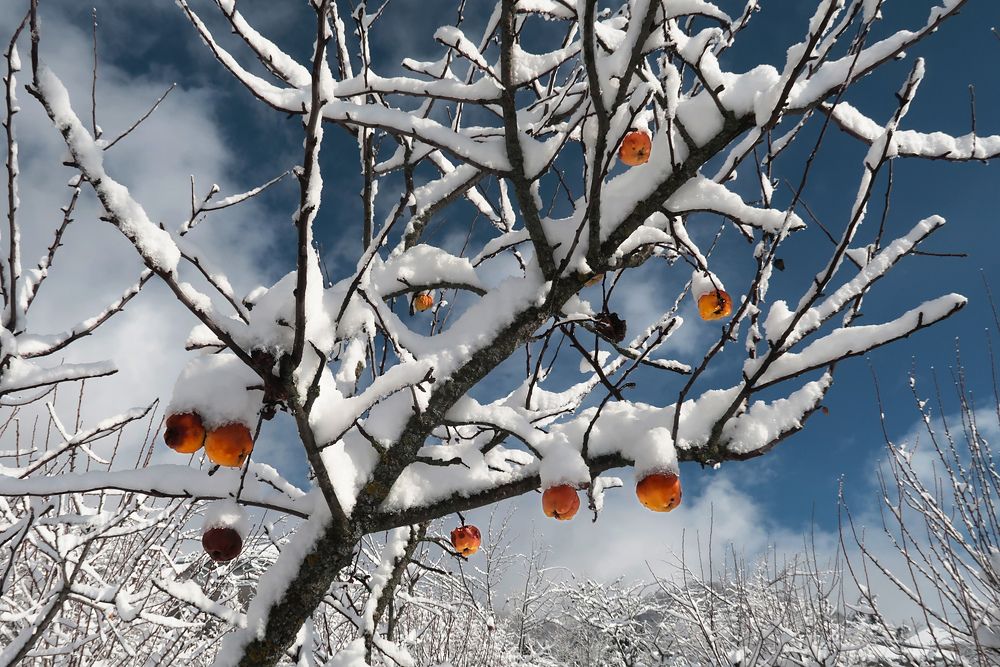 Photograph by Айдын Мехтиев