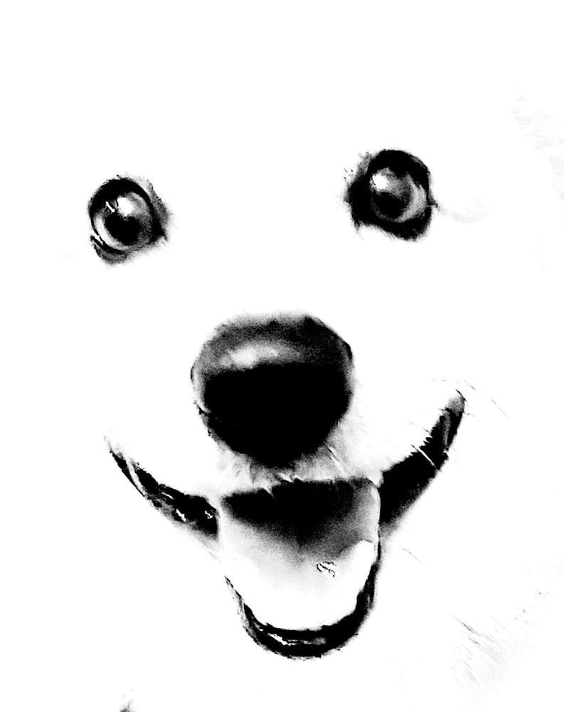 Photograph by Лада Денисова