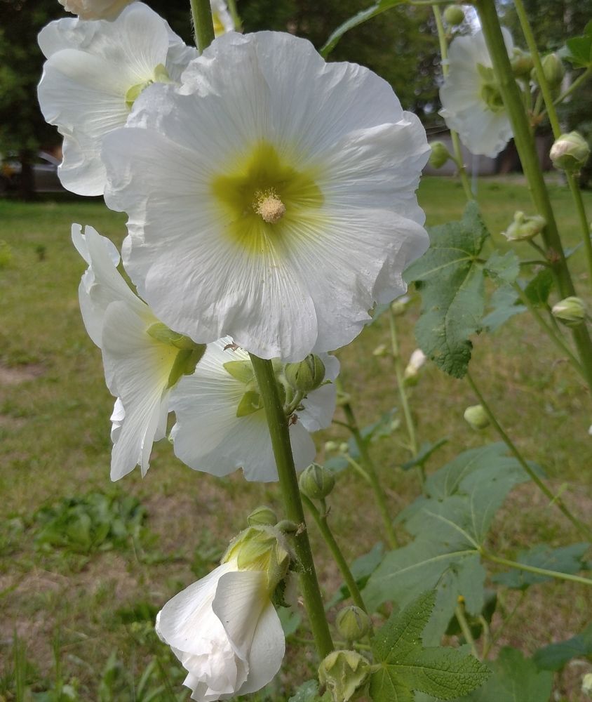 Photograph by Юлия